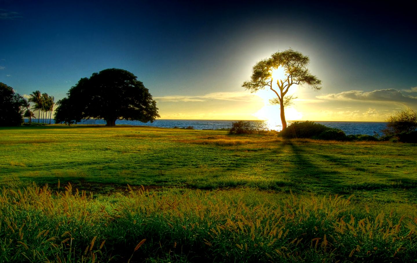 Nature And Landscapes Wallpapers HD Images New Nature And Landscapes Wallpapers HD Images New