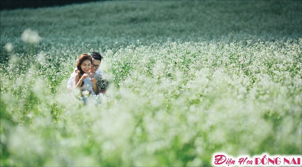 [Image: Chum-anh-cuoi-lang-mang-giua-mua-hoa-Da-Lat-4.jpg]