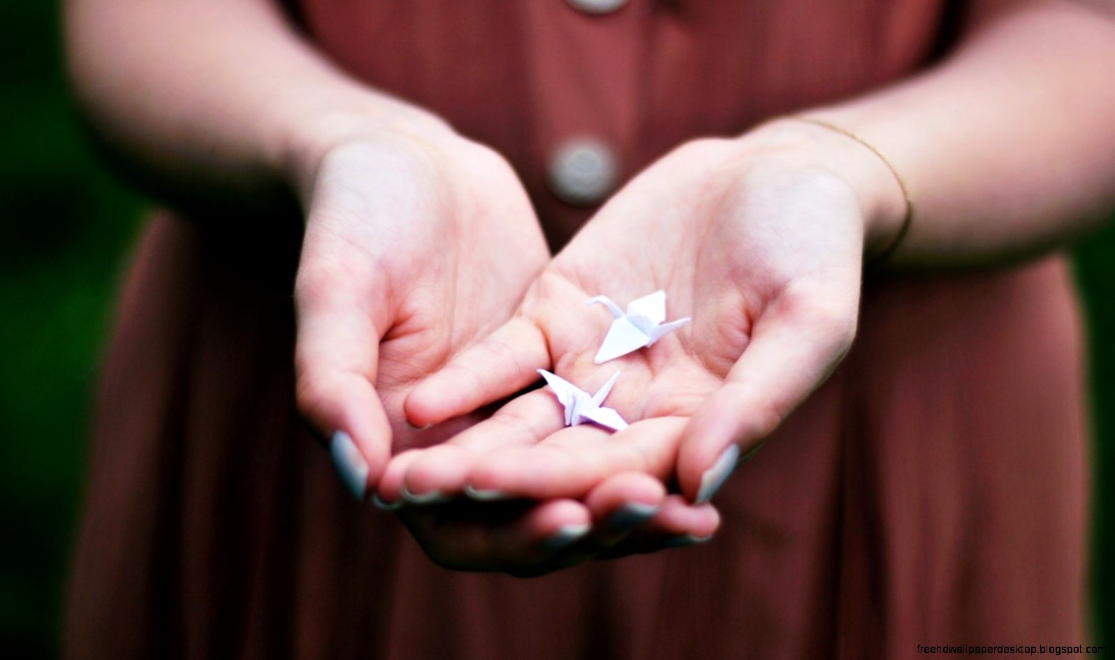 Beautiful Teresa Palmer wallpaper  1920x1080  18781