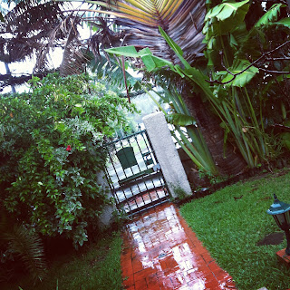 No Life Without Wife