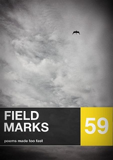 Field Marks