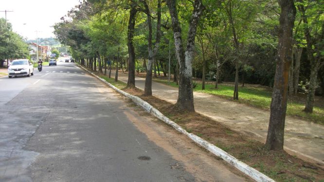 VEREADOR QUER MAIS ILUMINAÇÃO NA CICLOVIA