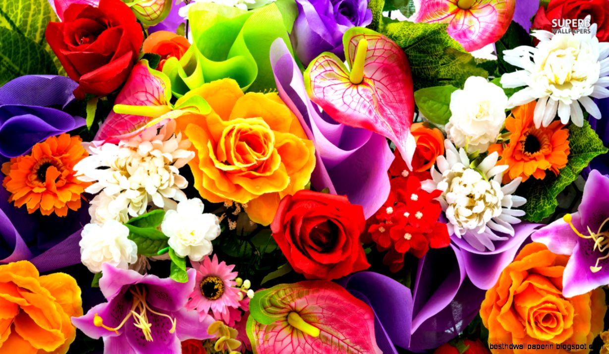 Colorful Abstract Flower Wallpaper 19995 ZWALLPIX Colorful Abstract Flower Wallpaper 19995 ZWALLPIX