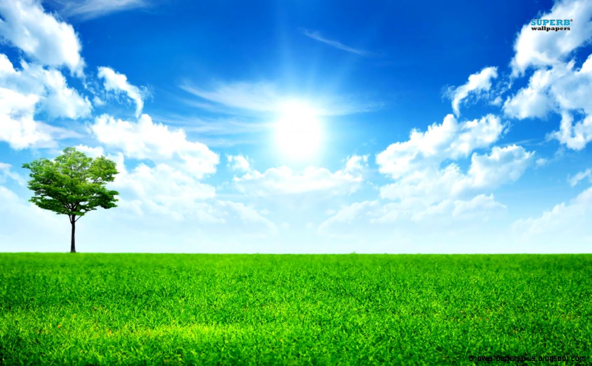 Sunny blue sky wallpaper Nature wallpapers 14782 Sunny blue sky wallpaper Nature wallpapers 14782