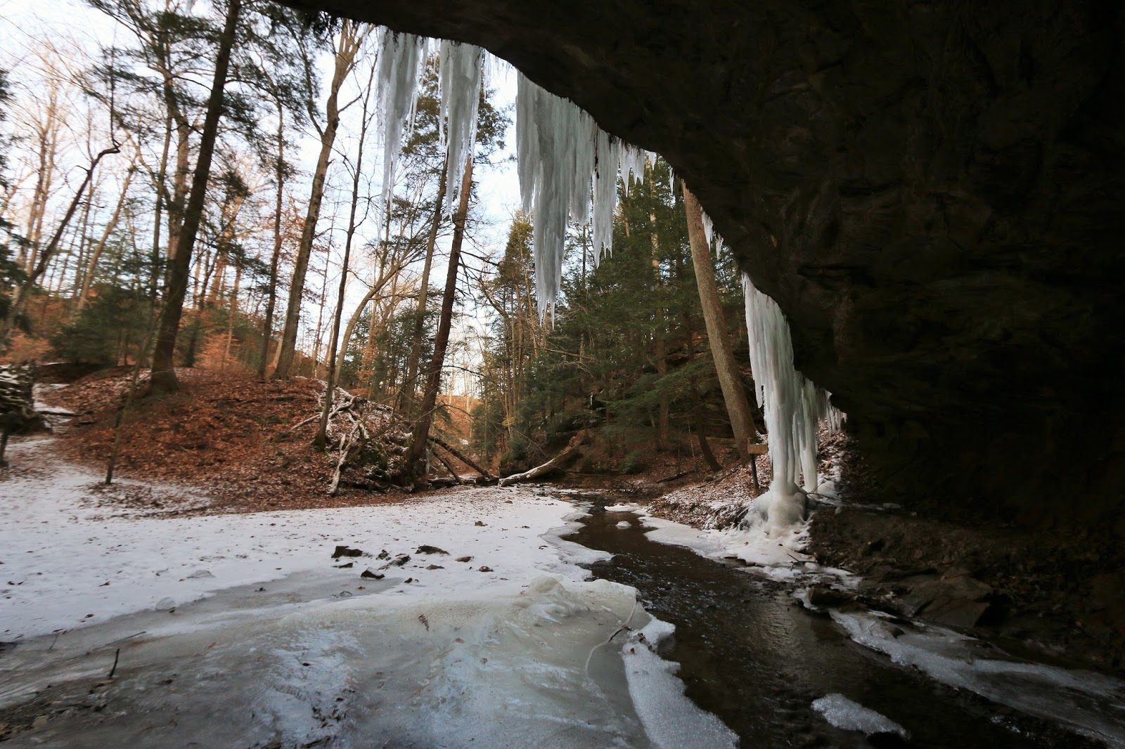 Nomadic Newfies Turkey Run State Park on Ice