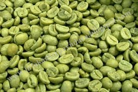 infokanserpayudara khasiat biji kopi hijau dengan obesiti infokanserpayudara khasiat biji kopi hijau dengan obesiti