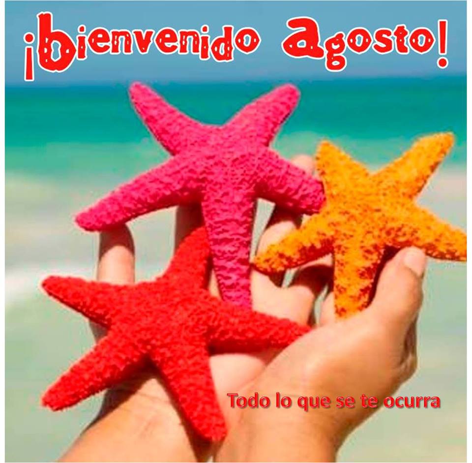 Bienvenido Agosto con estrellas de mar Imagenes y Carteles