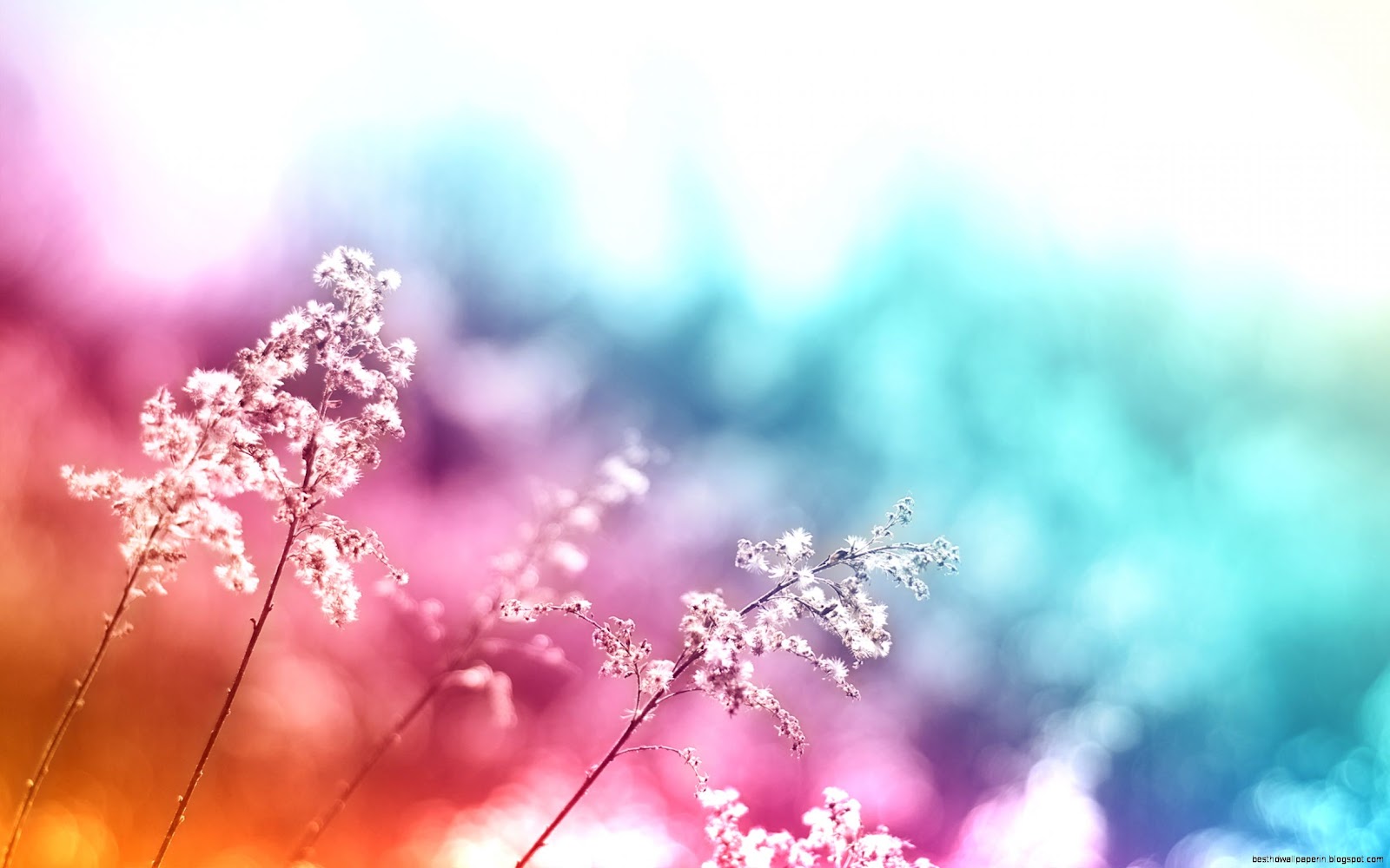 Colorful Abstract Nature Colorful Abstract Nature