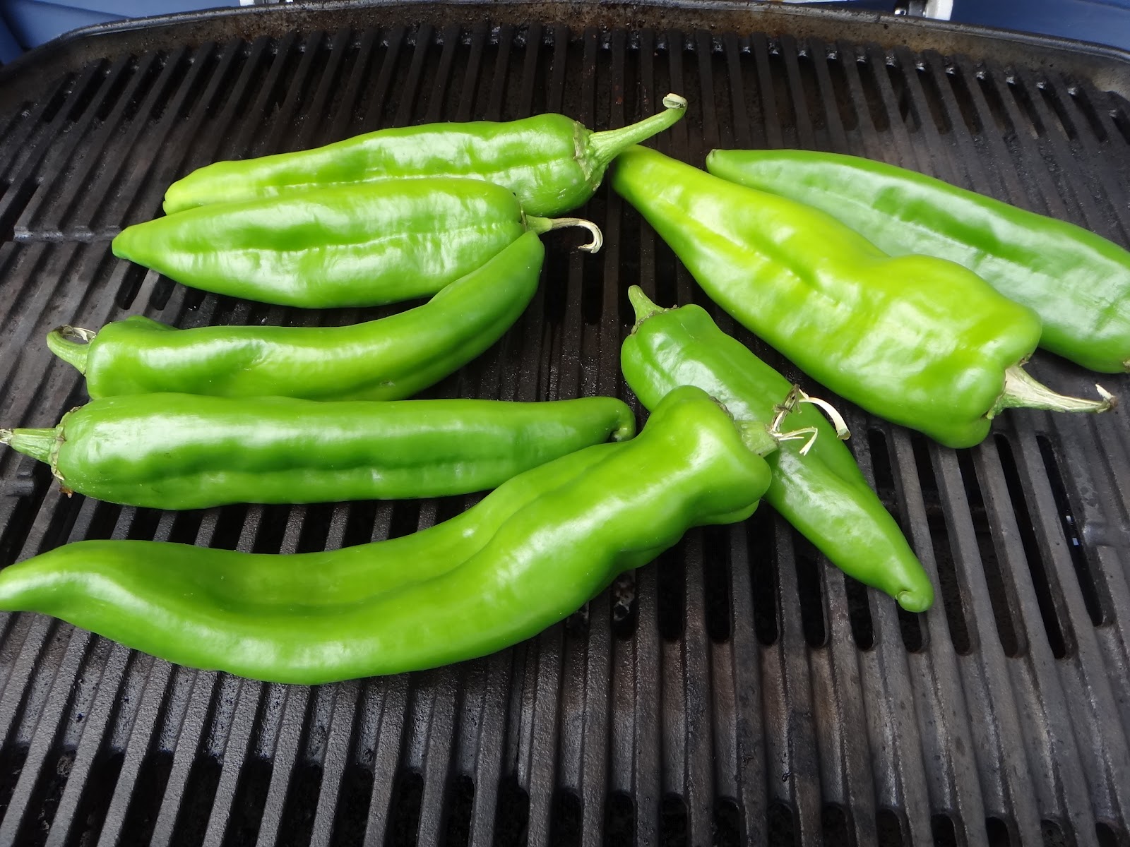 Feathers and Flowers Hatch peppers
