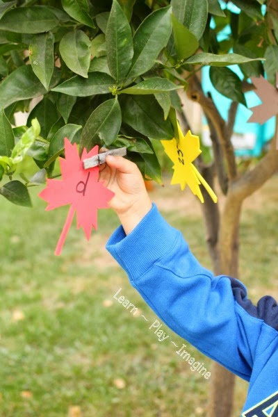 Going on a leaf hunt - hands on alphabet and math games for preschool