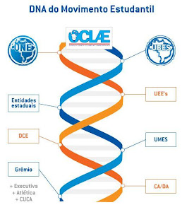 Estrutura do Movimento Estudantil Brasileiro