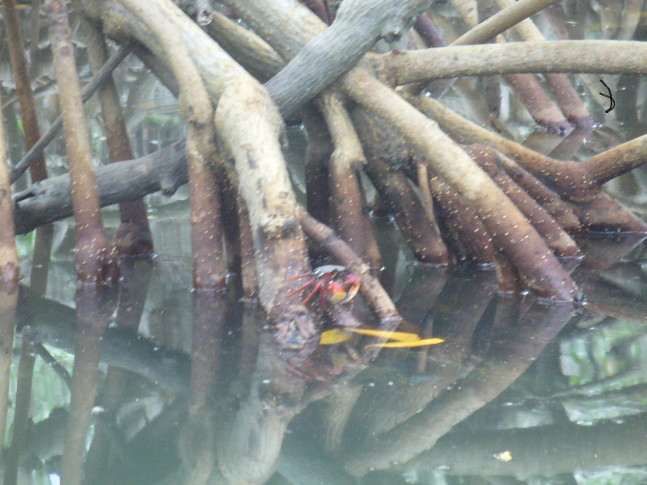 agence de rencontre golf