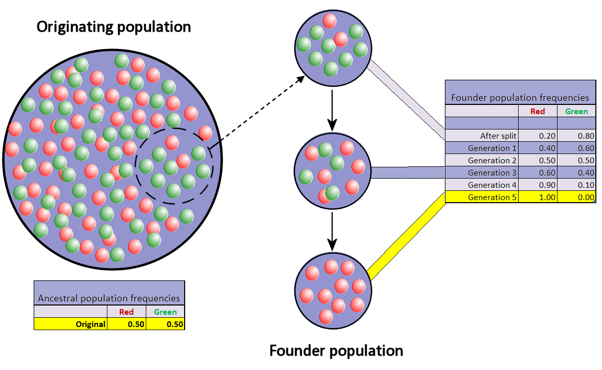 .Jose Biology B. .Vocabulary of Concepts of Ch. 17 Evidence of
