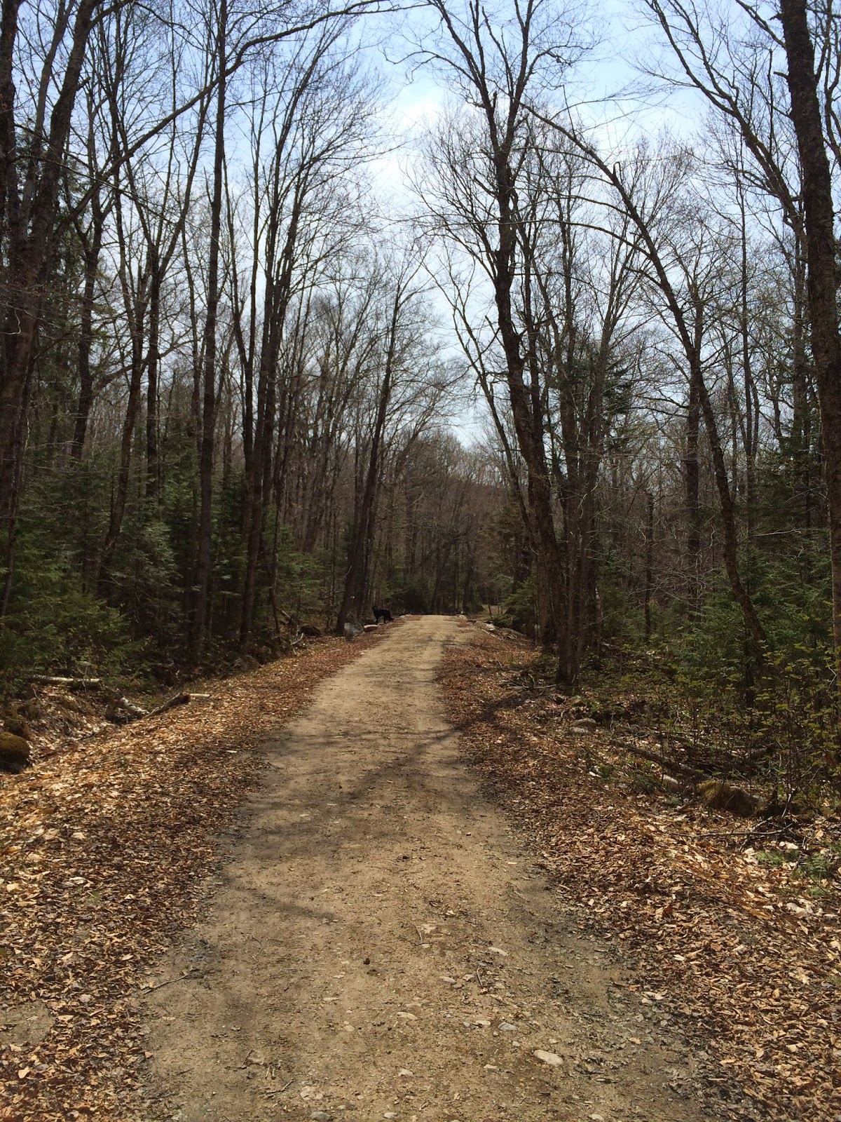 The Freelance Adventurer Livermore Trail Easy Multiuse trail in