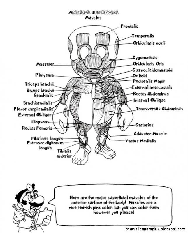 Doctor Marios Anatomy Coloring Book Page 6 by AmbrosiaNBurbank on Doctor Marios Anatomy Coloring Book Page 6 by AmbrosiaNBurbank on