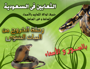 ملف عن أسماء وصور الثعابين فى السعودية