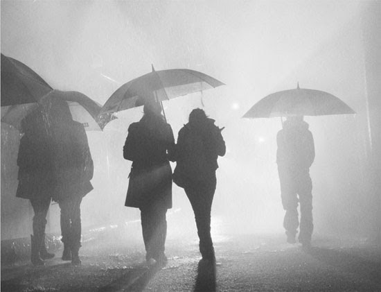 Rain, light & fog Rain, light & fog