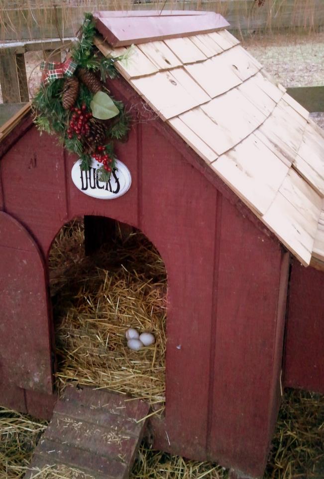 Converting a Dog House for Ducks Easy DIY Project Fresh Eggs Daily®