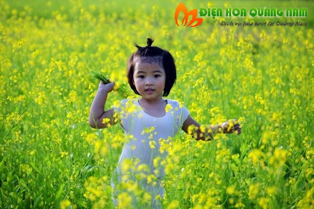 [Image: Tao-dang-voi-gioi-tre-Ha-Thanh-ben-vuon-hoa-cai-10.jpg]