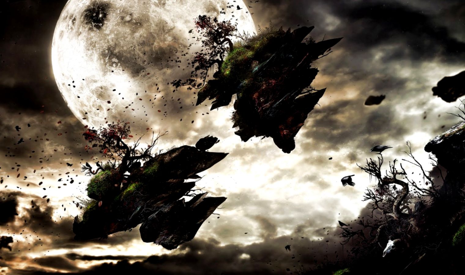 hddesktopWidescreen hddesktopWidescreen