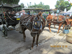 Tourist Pony's inside Kraton Complex in Yogyakarta.