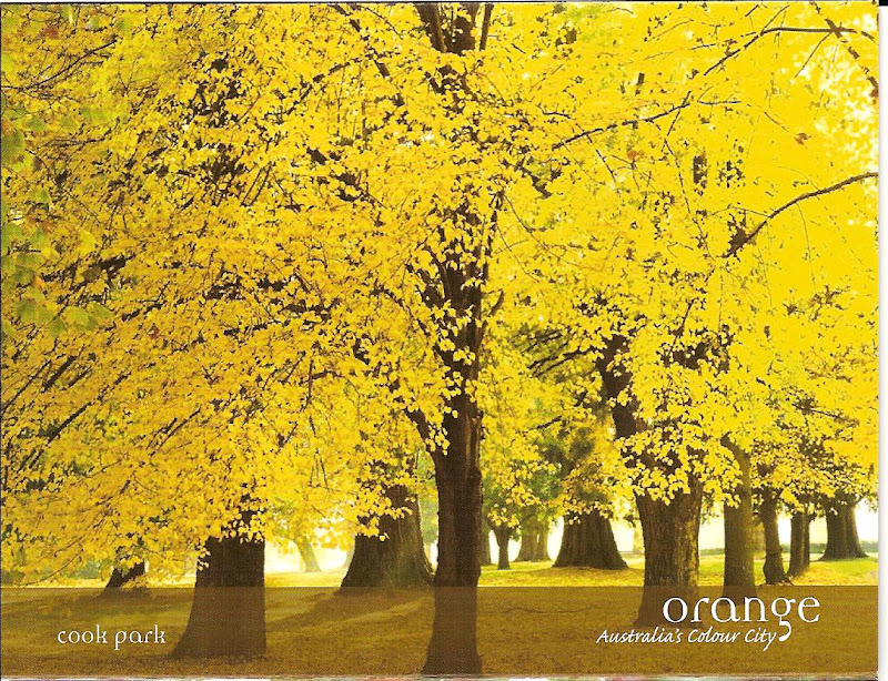Australia Nature's Gifts Orange, NSW Four Seasons in Postcard