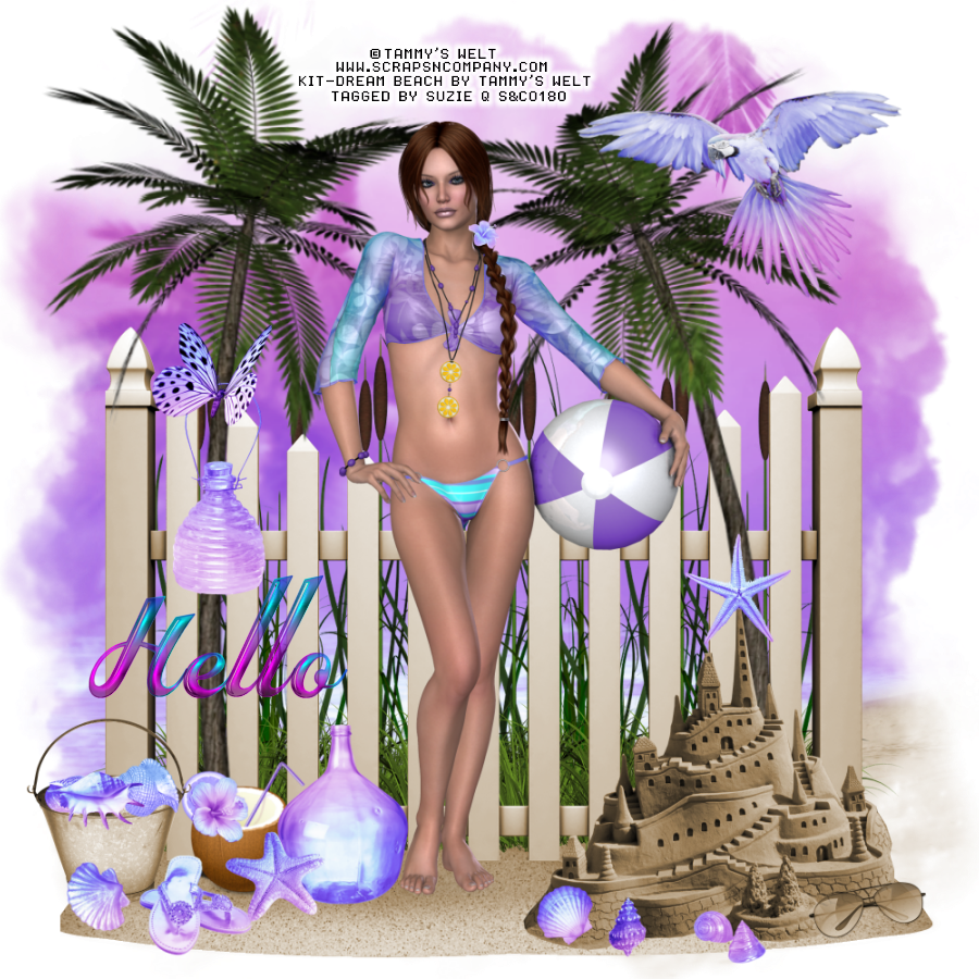 QTags by Suzie Q CT Timeline Set, Cluster Frame and Snags for Tammy's