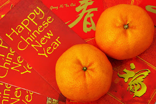 happy chinese new year photos chinese new year cards with oranges