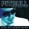 download - Give me everything pitbull feat ne-yo