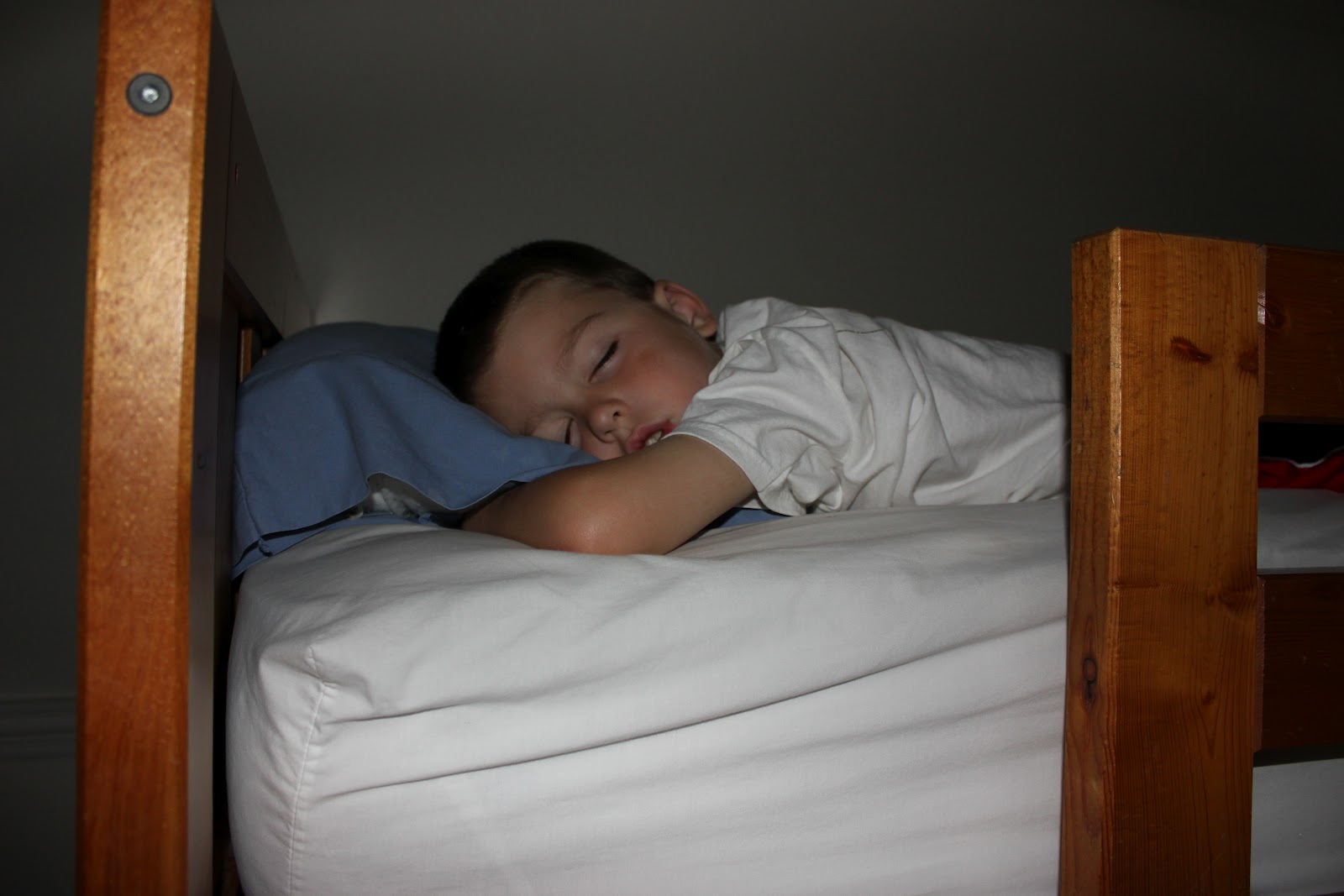 THE BRUSCHKE FAMILY Crazy Sleepers