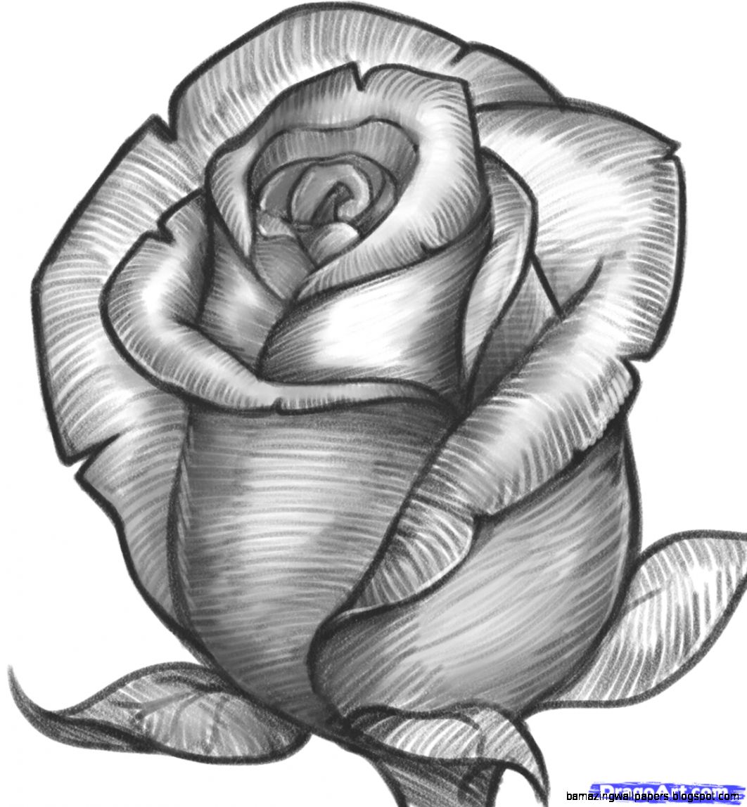 How to Draw a Rose Bud Rose Bud Step by Step Flowers Pop How to Draw a Rose Bud Rose Bud Step by Step Flowers Pop