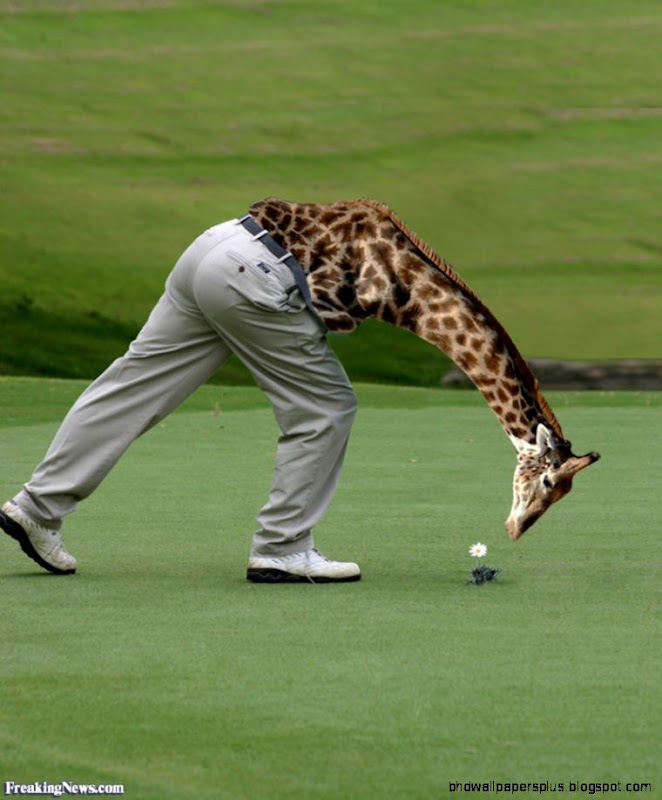 Funny Course Pictures   Freaking News Funny Course Pictures   Freaking News