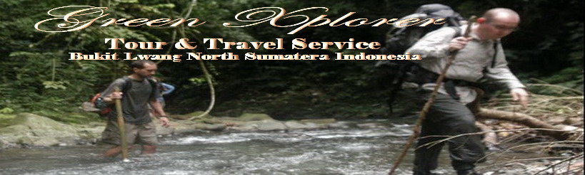 Adventure The Sumatran Orang Utan l Bukit Lawang l North Sumatera - Indonesia