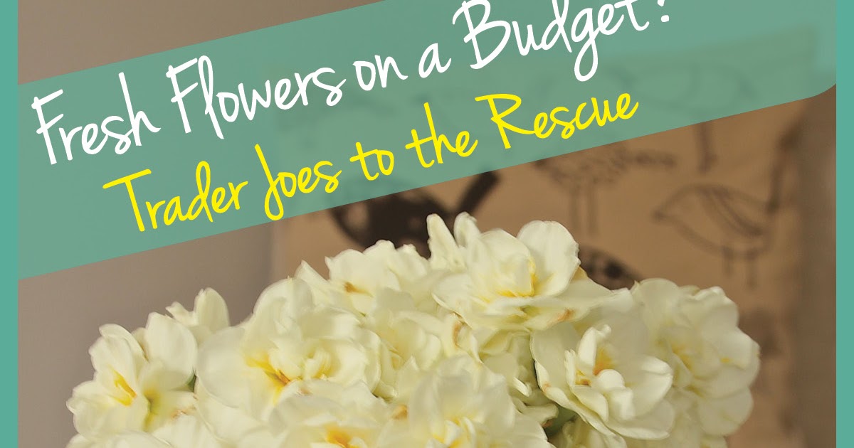 A Thrifter in Disguise Fresh Flowers on a Budget