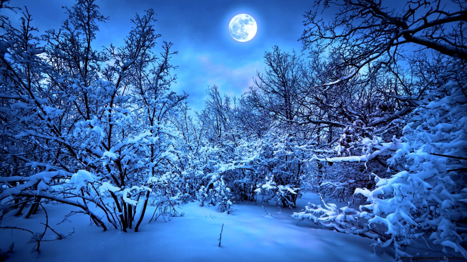 Winter Moon Winter Moon
