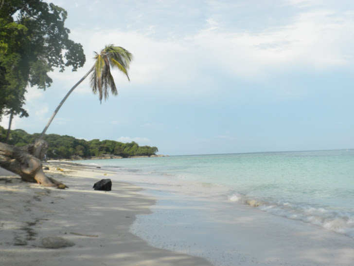 PLAYA BLANCA EN EL CARIBE