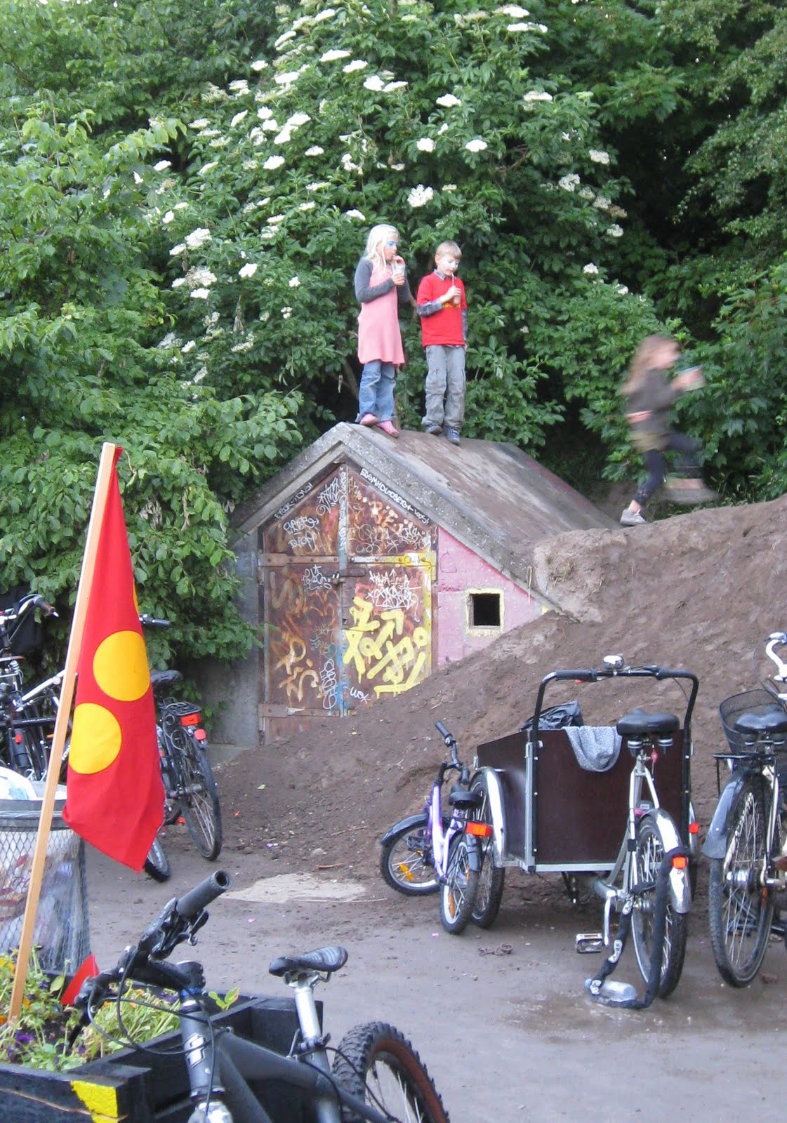 Bedtime Science Stories Education in New York vs. Denmark