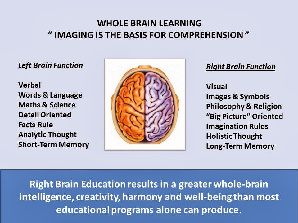 Whole Brain Development Chinese Learning Programme