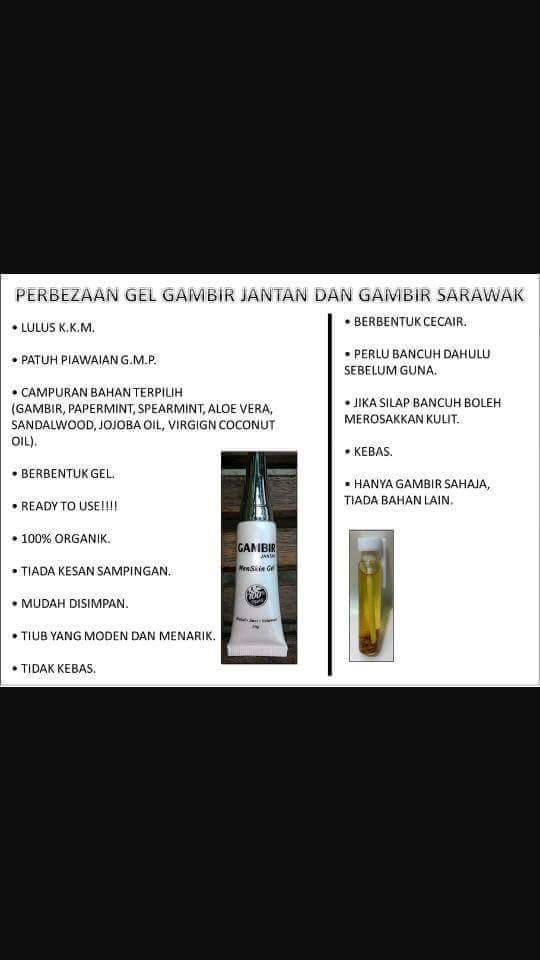 Gel Gambir Jantan Pemborong Pengedar Gel Gambir Jantan