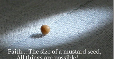 Catholic Living Today: "The kingdom of heaven is like a mustard seed"