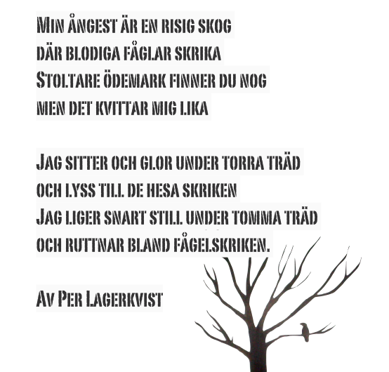 BILDBLOGGA Stora Högaskolan Bilden Dagens dikt