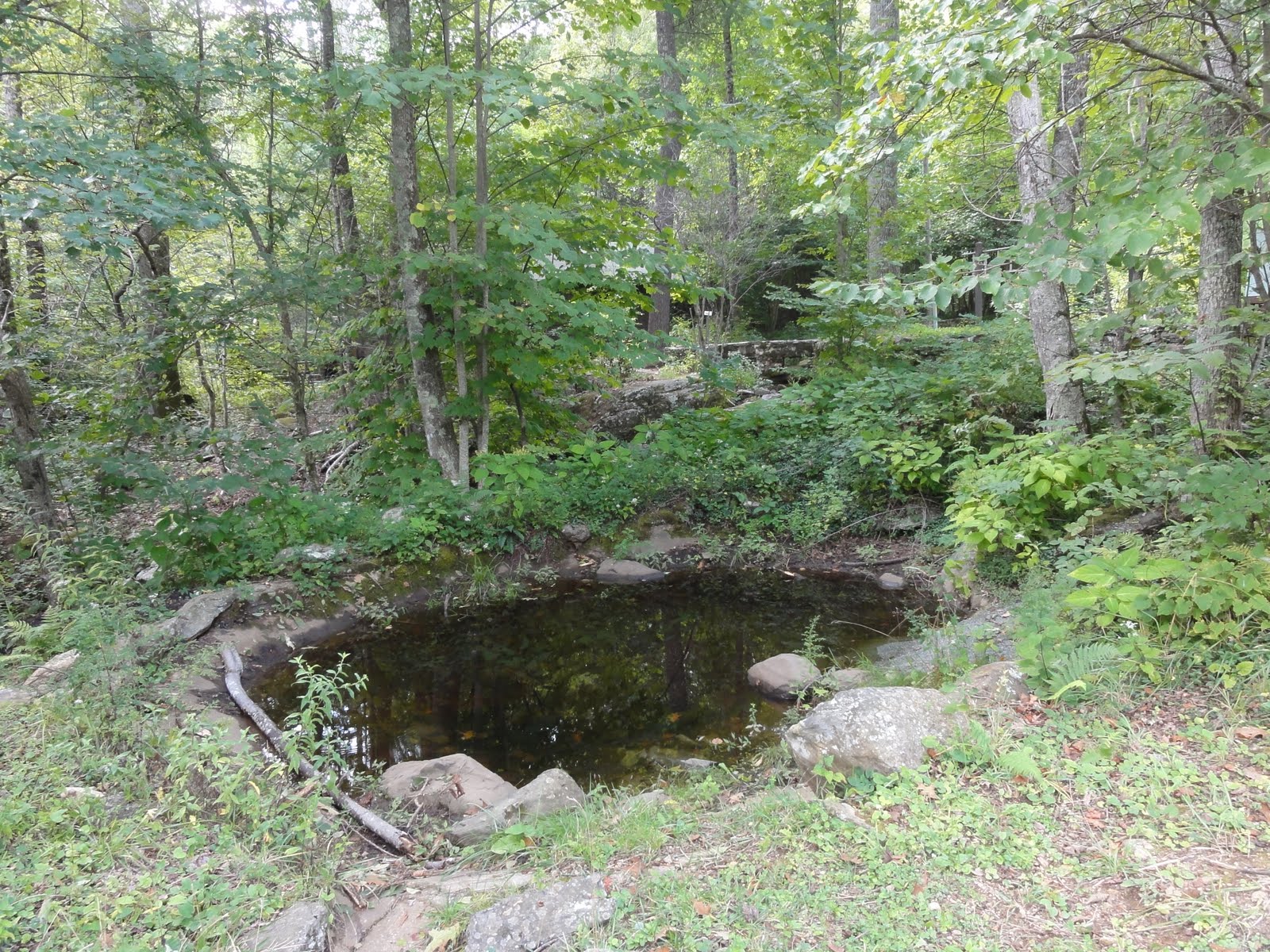 Tiny pond ideas Pond Boss Forum