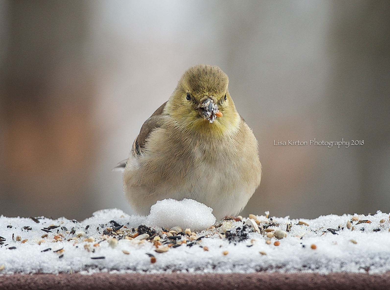 Snowball