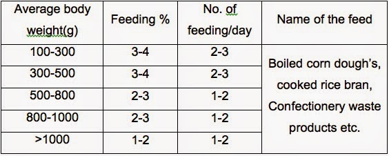 Catfish Feeding Chart