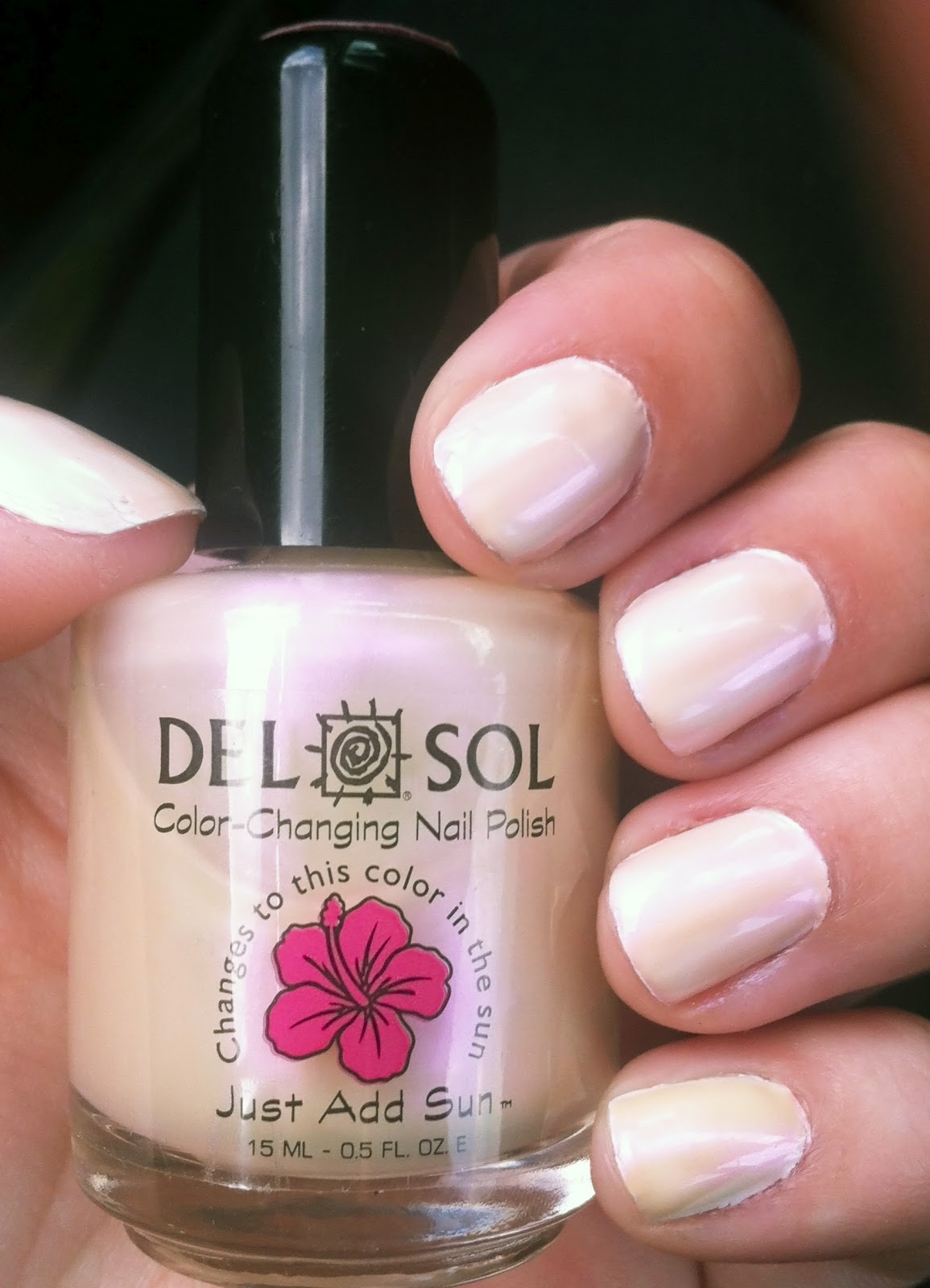 Nail Yourself Critique Color Change Polish