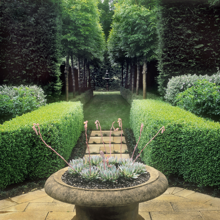 a curious gardener garden designer Peter Fudge