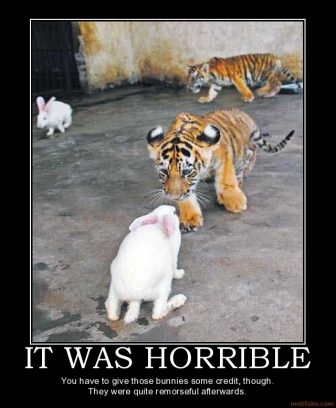 extreme funny humor pictures extreme funny humor pictures
