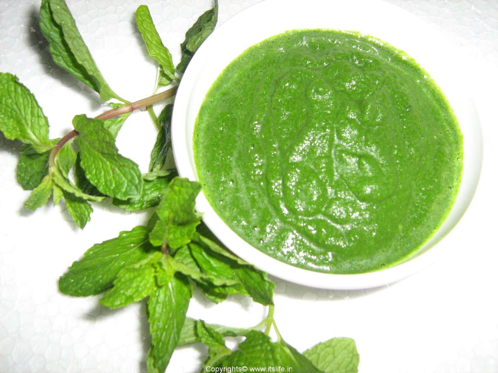 Recipes For Juicing Mint Apple Juice