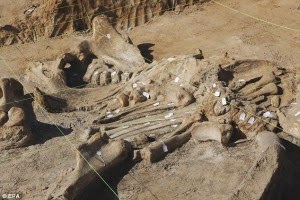 Fosil Mammoth Berumur 60.000 tahun Ditemukan di Texas