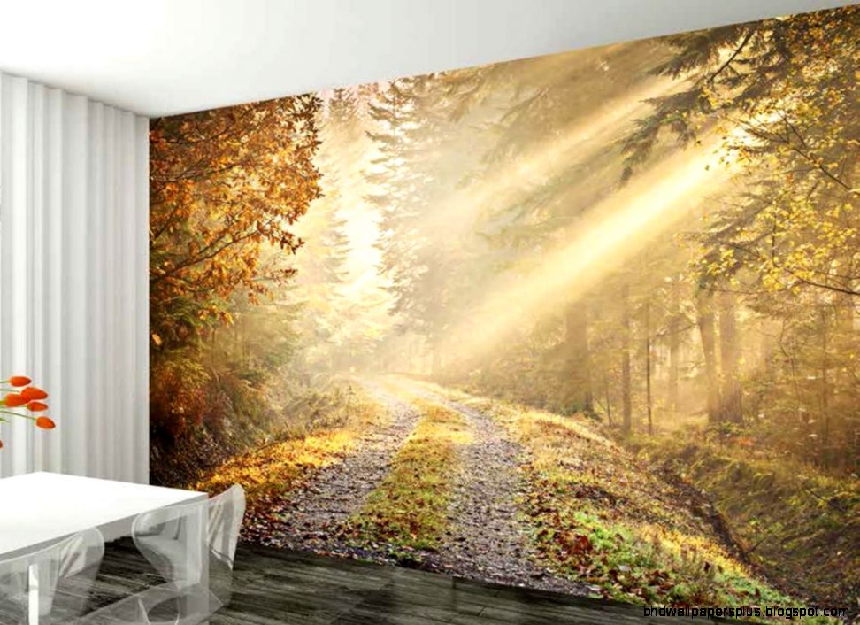1Wall Autumn Forest Wallpaper Wall Mural All Products Wall 1Wall Autumn Forest Wallpaper Wall Mural All Products Wall